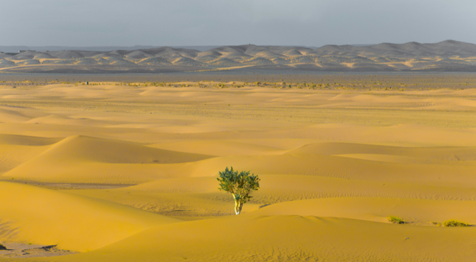 5 claves para fortalecer la resiliencia y adaptabilidad para liderar con bienestar