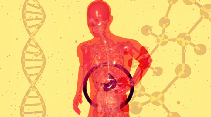 Microbiota y resiliencia emocional: tu intestino como aliado en la oficina
